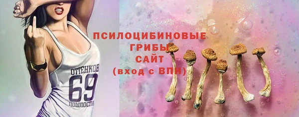 шишки Балабаново