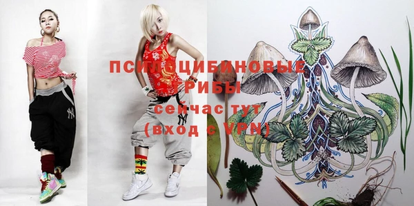 шишки Балабаново