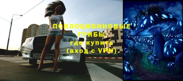шишки Балабаново