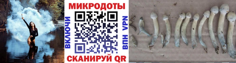 OMG ТОР  Богородск  Псилоцибиновые грибы Magic Shrooms 